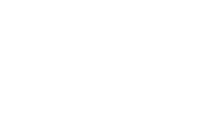 bmsg